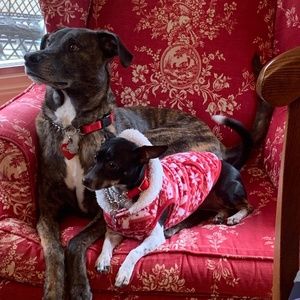 Meet your Posher, Jenn